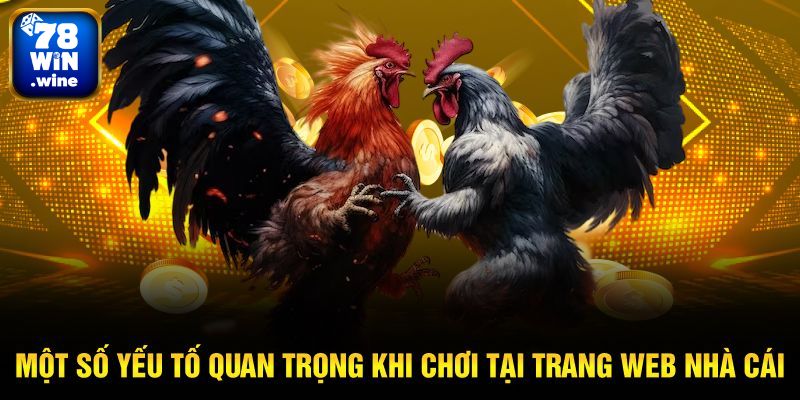 Yếu tố cần chú ý khi tham gia chọi kê